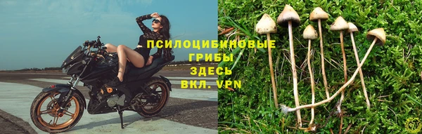прущие крисы Липки