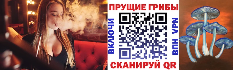 Псилоцибиновые грибы мицелий Мантурово