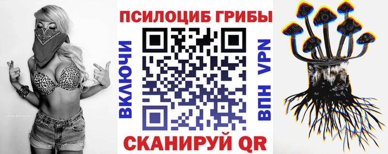 Галлюциногенные грибы Psilocybe  Мантурово 